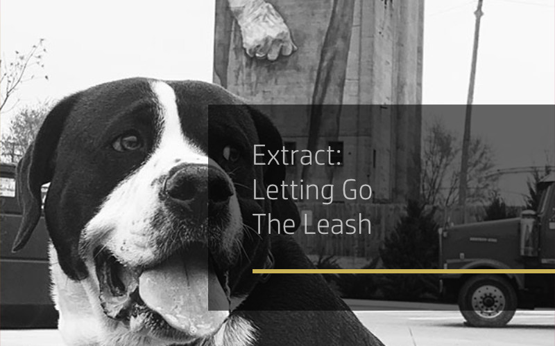 Banner for Extract Letting Go The Leash